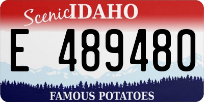 ID license plate E489480