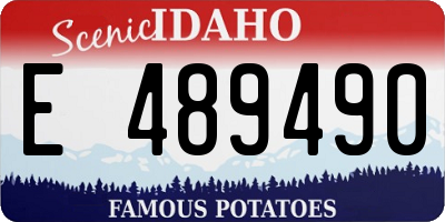 ID license plate E489490