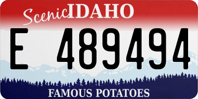 ID license plate E489494