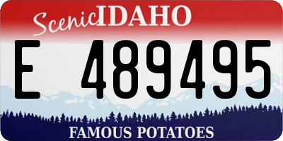 ID license plate E489495