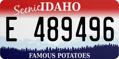 ID license plate E489496