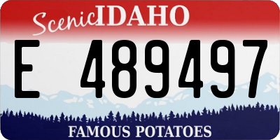 ID license plate E489497