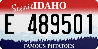 ID license plate E489501
