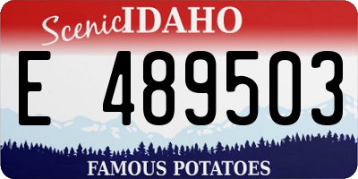 ID license plate E489503