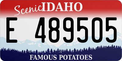 ID license plate E489505