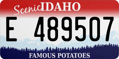 ID license plate E489507