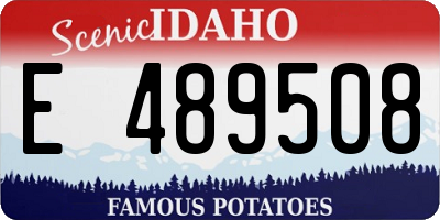 ID license plate E489508