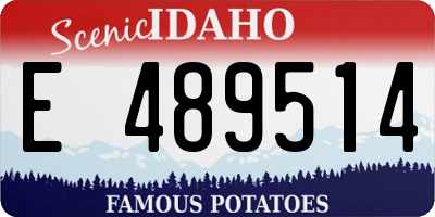 ID license plate E489514