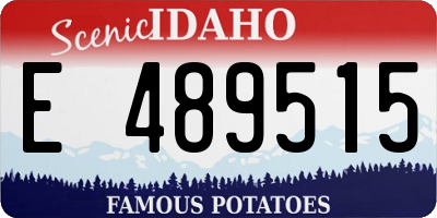 ID license plate E489515