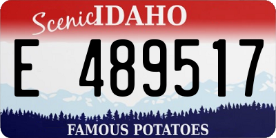 ID license plate E489517