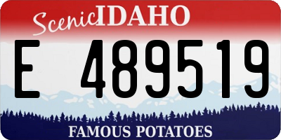 ID license plate E489519