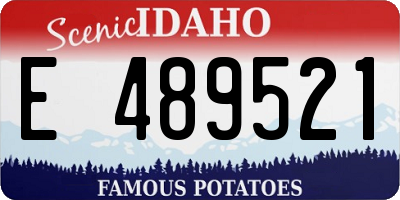 ID license plate E489521
