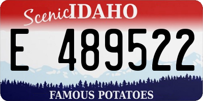 ID license plate E489522