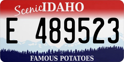 ID license plate E489523