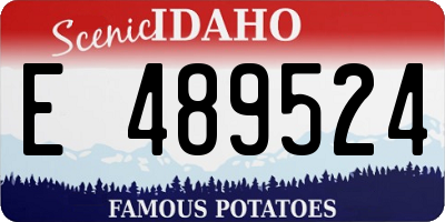 ID license plate E489524