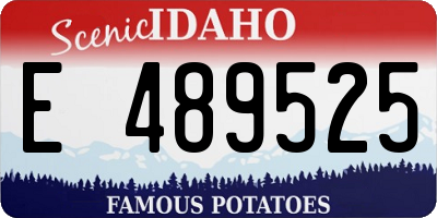 ID license plate E489525