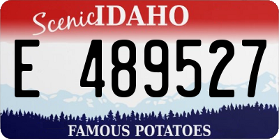 ID license plate E489527