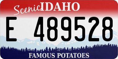 ID license plate E489528