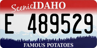 ID license plate E489529
