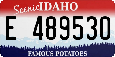 ID license plate E489530