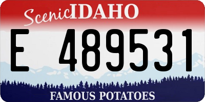 ID license plate E489531
