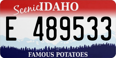 ID license plate E489533
