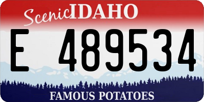 ID license plate E489534