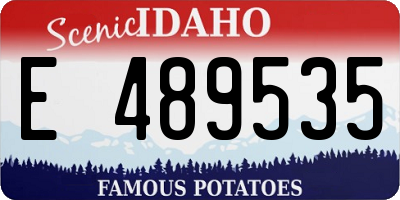 ID license plate E489535