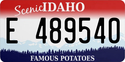 ID license plate E489540