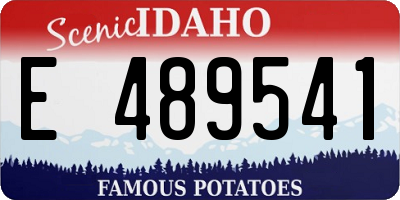 ID license plate E489541