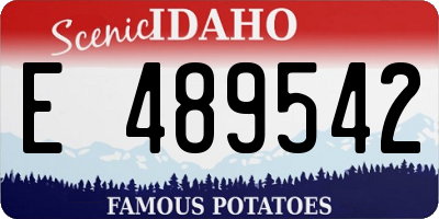 ID license plate E489542