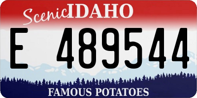 ID license plate E489544