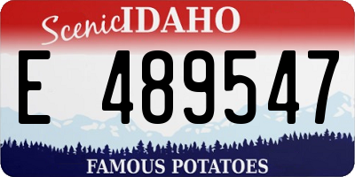 ID license plate E489547