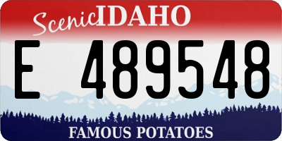 ID license plate E489548