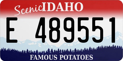 ID license plate E489551
