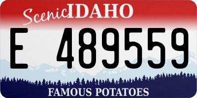 ID license plate E489559