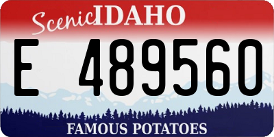 ID license plate E489560