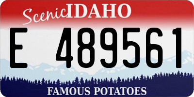 ID license plate E489561
