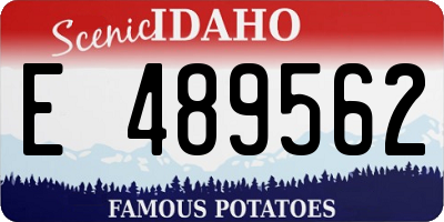 ID license plate E489562
