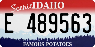 ID license plate E489563