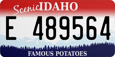 ID license plate E489564