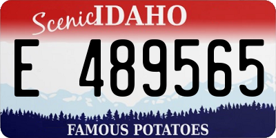 ID license plate E489565