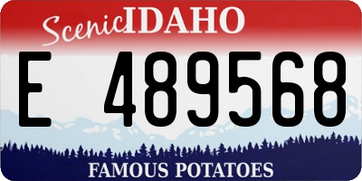 ID license plate E489568