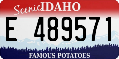 ID license plate E489571