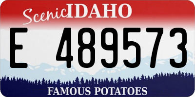 ID license plate E489573