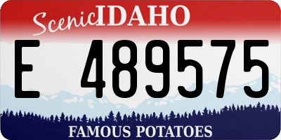 ID license plate E489575