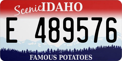 ID license plate E489576