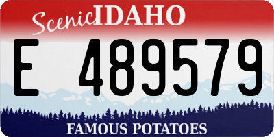 ID license plate E489579