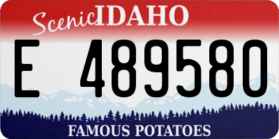 ID license plate E489580
