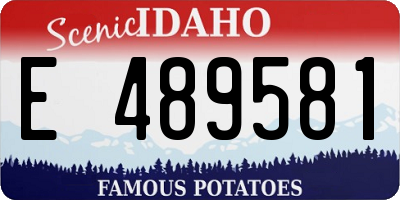 ID license plate E489581